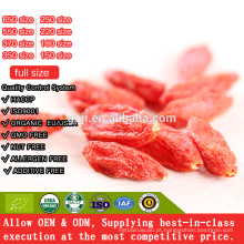 Goji Berry seca mecânica / goji berry no pacote a granel